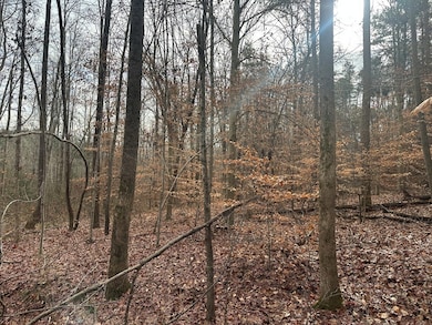 4.1 Acs Leda Rd, Nathalie, VA 24577 - photo 7