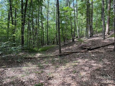 0 Mountain Brook Trail unit 298, Nebo, NC 28761 - photo 7