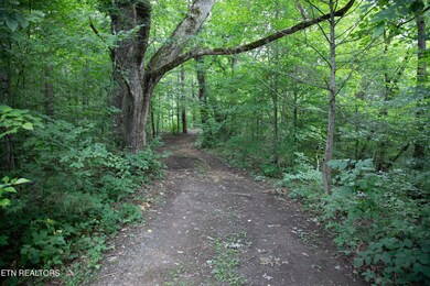 DB_0005 (1)