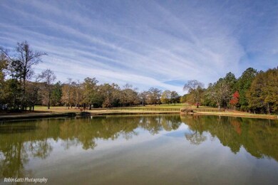 7665 Whittle Rd, Macon, GA 31220 - photo 3