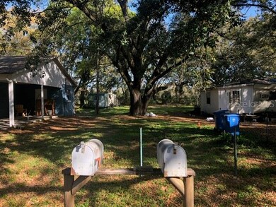 10206 Leroy Ave, Tampa, FL 33619 - photo 6