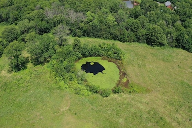 TBD State Highway Aa, El Dorado Springs, MO 64744 - photo 3