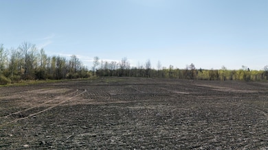 000 Crooked Lake Rd, Danforth Township, MN 55072 - photo 3