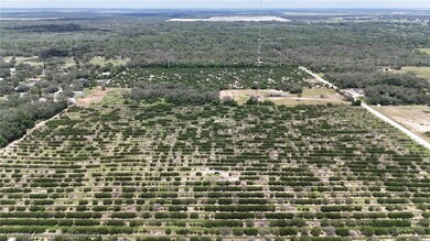 700 Sheriffs Tower Rd, Sebring, FL 33870 - photo 5