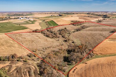 TBD T-172, Caledonia Township, MN 55921 - photo 3