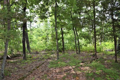 39 Ridge Top Dr, Farmington, MO 63640 - photo 4