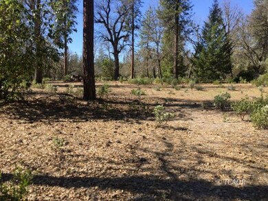 1321 Brady Rd, Hayfork, CA 96041 - photo 2