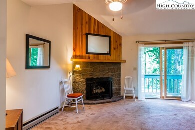 120 S Slope Loop unit 3, Banner Elk, NC 28604 - photo 2