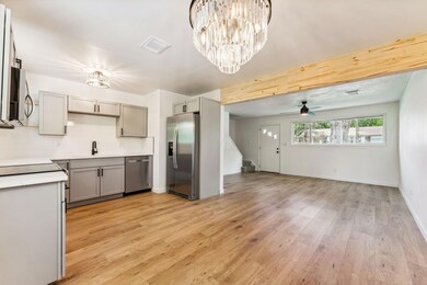16-web-or-mls-1563-basil-dr