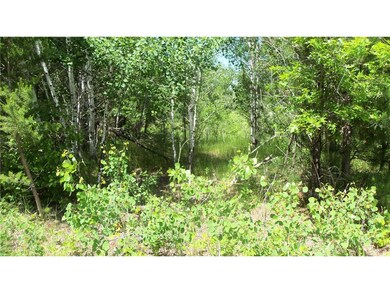 Lot 10 Maple Ln, Siren, WI 54872 - photo 6