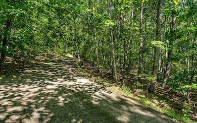 L11 Mattie Ln, Blairsville, GA 30512 - photo 3