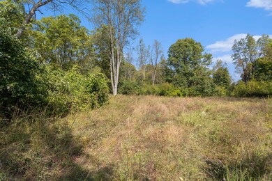 004_yawger_rd_bedford_charter_township_m
