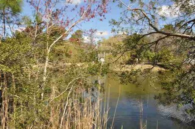 125 Calais Ave, Georgetown, SC 29440 - photo 3