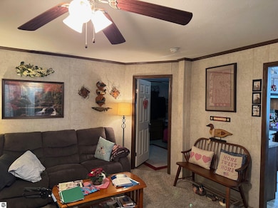 5232 E Broadway Rd, Mount Pleasant, MI 48858 - photo 5