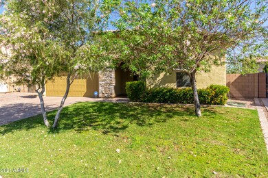 0003-03 Carob 3622