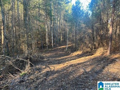 0 Lambert Rd unit 56 Ac 21376944, Cragford, AL 36255 - photo 6