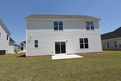 Back View