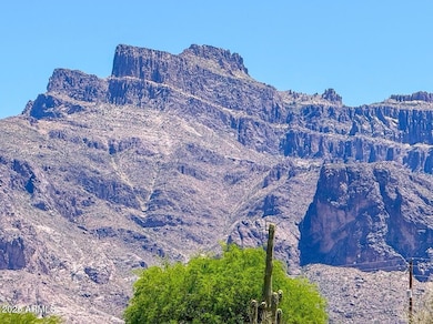 0 N Roadrunner Rd 1 Acre --, Apache Junction, AZ 85119 - photo 7