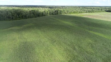 130 N Hale Rd, Twining, MI 48766 - photo 7