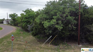 15886 Salado Dr, Temple, TX 76502 - photo 5