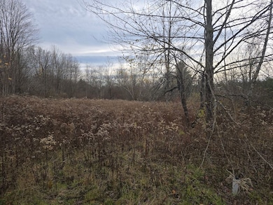 158 Cherry Ln, Cincinnatus, NY 13040 - photo 7