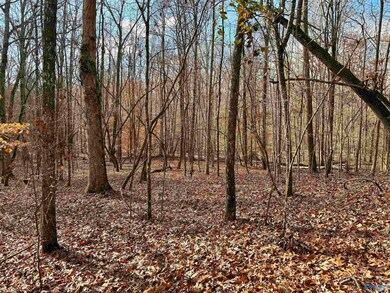 3 County Road 137 unit 504549, Cedar Bluff, AL 35959 - photo 4