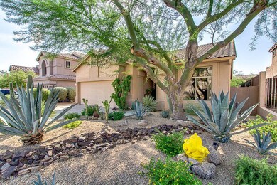 Mature Front Yard Landscaping