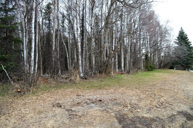 Lot View