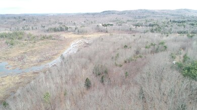 DJI_0491