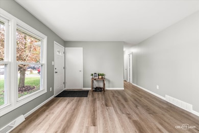 173 Dolores St, Oswego, IL 60543 - photo 3