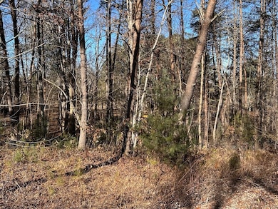 Lot 14 Fairview Way, Blue Ridge, GA 30560 - photo 4