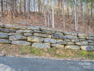 167 Firefly Point, Lake Lure, NC 28746 - photo 5