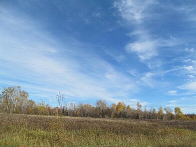 25 Acres on County Road Y, Aniwa, WI 54408 - photo 4