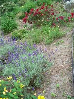 31 Winship Ave, Wareham, MA 02571 - photo 3