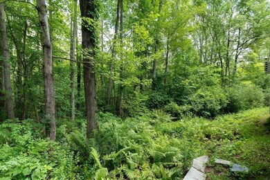 123 Maplewood Cir, Amherst, MA 01002 - photo 5