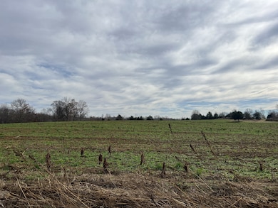 0 Parkhurst Rd unit RTC3051858, Red Boiling Springs, TN 37150 - photo 2