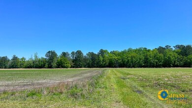 0 Risher Mountain Rd unit 25510472, Walterboro, SC 29488 - photo 5