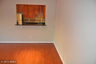 6145 Leesburg Pike unit 205, Falls Church, VA 22041 - photo 3