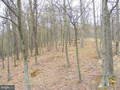 217 Summerwood Dr, Mathias, WV 26812 - photo 7