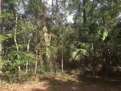 LOT 4 River Plantation Rd, Crawfordville, FL 32327 - photo 3