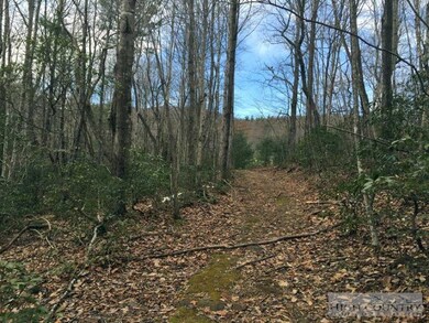 738 Patton Ridge Rd, Deep Gap, NC 28618 - photo 7