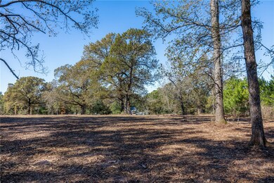 5901 Highline Dr, Montgomery, TX 77316 - photo 3