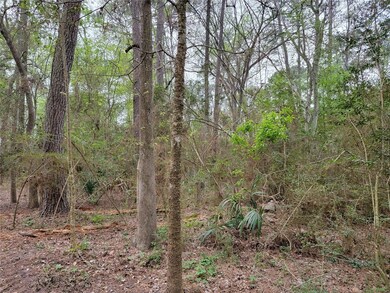 0 Old Highway 59, Lufkin, TX 75904 - photo 2