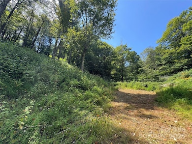 TBD Wyeth Dr unit 11, Blowing Rock, NC 28605 - photo 4