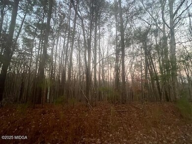 127 Long Shoals Dr, Eatonton, GA 31024 - photo 4