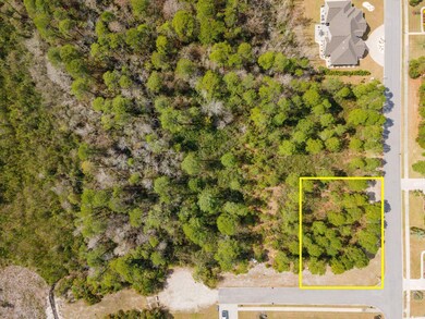 1259 Ficus Dr, Myrtle Beach, SC 29579 - photo 7