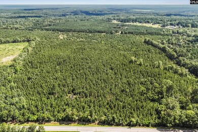 4000 Old Ninety Six Indian Trail, Wagener, SC 29164 - photo 7