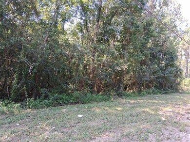 0 Alma Dr, Wilmer, AL 36587 - photo 7