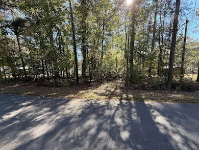 0 Gardenia Rd unit 69812, Sparta, GA 31087 - photo 3