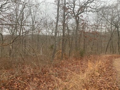 0 Dolly Cir unit 1177502, Bella Vista, AR 72715 - photo 3